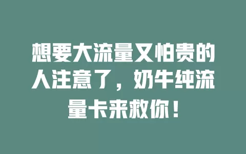 想要大流量又怕贵的人注意了，奶牛纯流量卡来救你！
