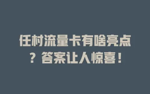 任村流量卡有啥亮点？答案让人惊喜！