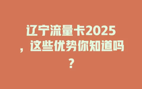 辽宁流量卡2025，这些优势你知道吗？
