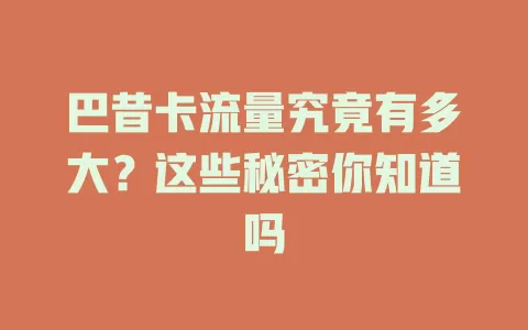 巴昔卡流量究竟有多大？这些秘密你知道吗