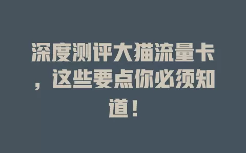 深度测评大猫流量卡，这些要点你必须知道！