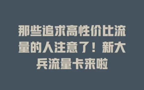 那些追求高性价比流量的人注意了！新大兵流量卡来啦