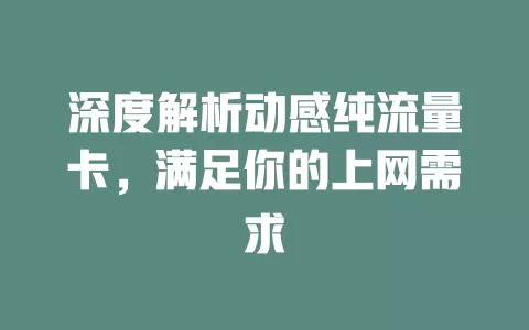 深度解析动感纯流量卡，满足你的上网需求