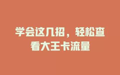 学会这几招，轻松查看大王卡流量