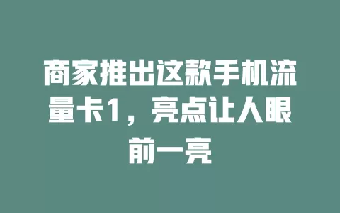 商家推出这款手机流量卡1，亮点让人眼前一亮