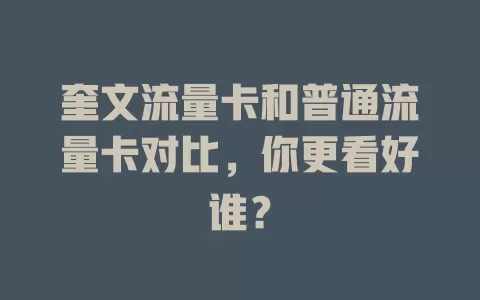 奎文流量卡和普通流量卡对比，你更看好谁？