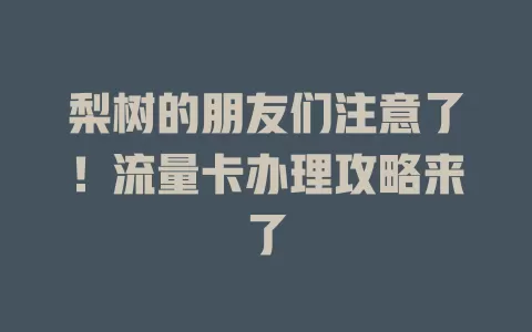 梨树的朋友们注意了！流量卡办理攻略来了