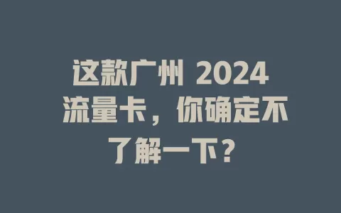 这款广州 2024 流量卡，你确定不了解一下？