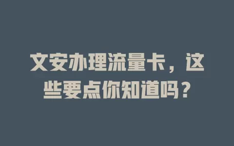 文安办理流量卡，这些要点你知道吗？