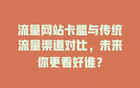流量网站卡盟与传统流量渠道对比，未来你更看好谁？