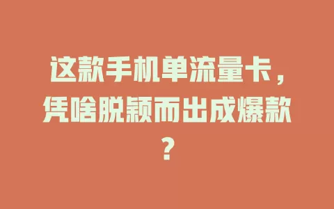 这款手机单流量卡，凭啥脱颖而出成爆款？