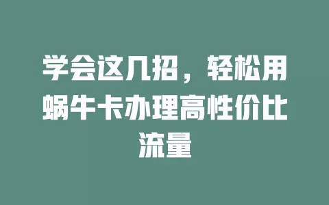 学会这几招，轻松用蜗牛卡办理高性价比流量