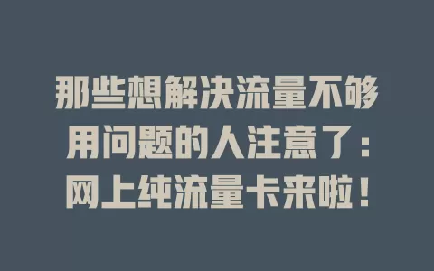 那些想解决流量不够用问题的人注意了：网上纯流量卡来啦！