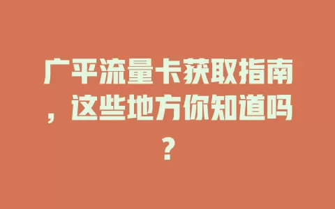 广平流量卡获取指南，这些地方你知道吗？