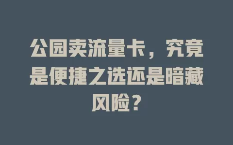 公园卖流量卡，究竟是便捷之选还是暗藏风险？