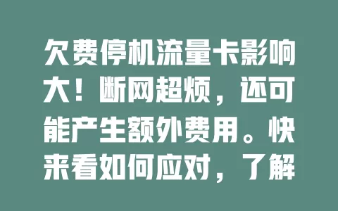欠费停机流量卡影响大！断网超烦，还可能产生额外费用。快来看如何应对，了解这些让用卡更顺畅，别忽视！