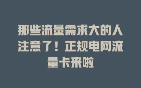 那些流量需求大的人注意了！正规电网流量卡来啦