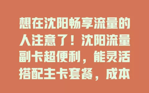 想在沈阳畅享流量的人注意了！沈阳流量副卡超便利，能灵活搭配主卡套餐，成本低流量足，还方便家庭共享。使用场景丰富，办理简便，多种套餐可选，让你网络无忧！