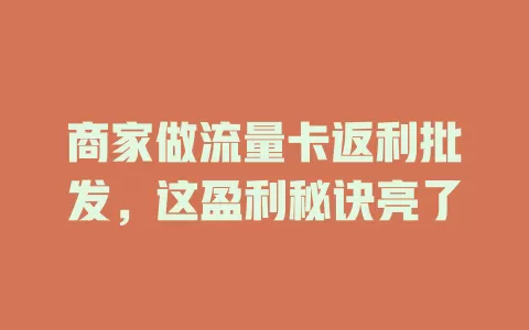 商家做流量卡返利批发，这盈利秘诀亮了
