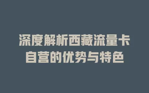 深度解析西藏流量卡自营的优势与特色