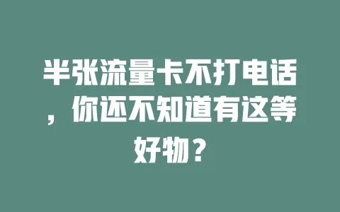 半张流量卡不打电话，你还不知道有这等好物？