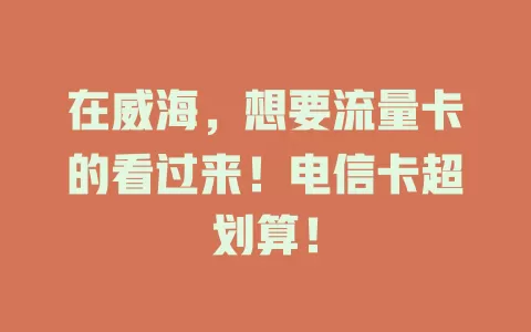 在威海，想要流量卡的看过来！电信卡超划算！