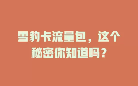 雪豹卡流量包，这个秘密你知道吗？
