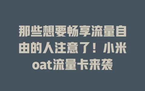 那些想要畅享流量自由的人注意了！小米oat流量卡来袭