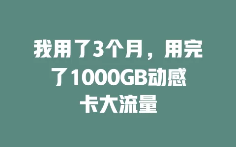 我用了3个月，用完了1000GB动感卡大流量