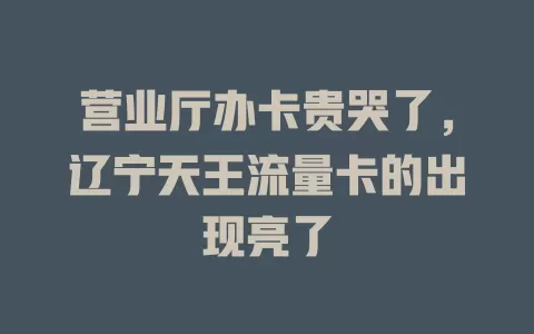 营业厅办卡贵哭了，辽宁天王流量卡的出现亮了