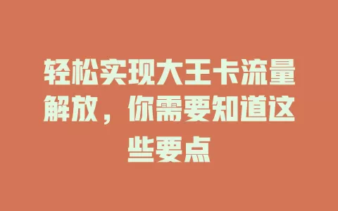 轻松实现大王卡流量解放，你需要知道这些要点