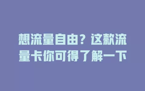 想流量自由？这款流量卡你可得了解一下