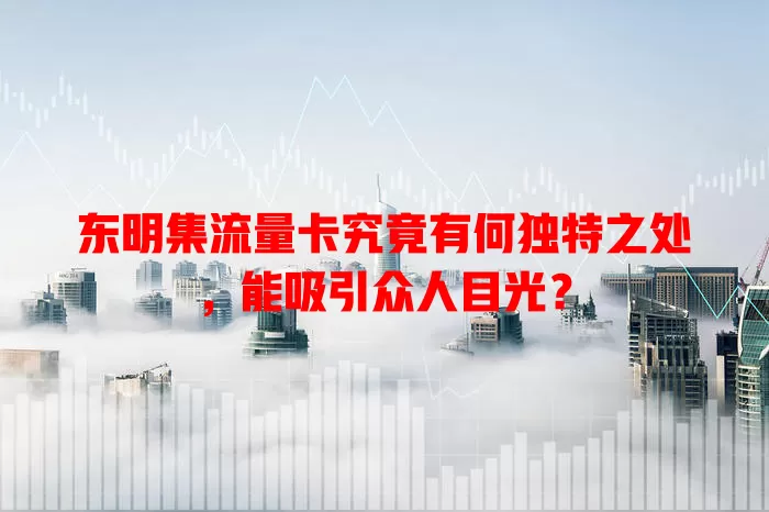 东明集流量卡究竟有何独特之处，能吸引众人目光？