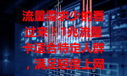 流量需求少的看过来！1兆流量卡适合特定人群，满足轻度上网，费用实惠，公共场合应急超棒！