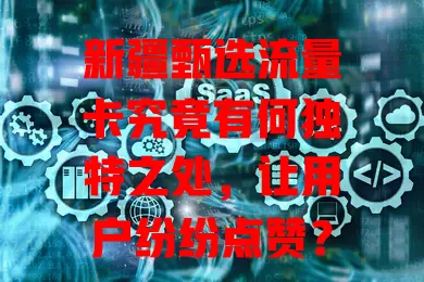 新疆甄选流量卡究竟有何独特之处，让用户纷纷点赞？