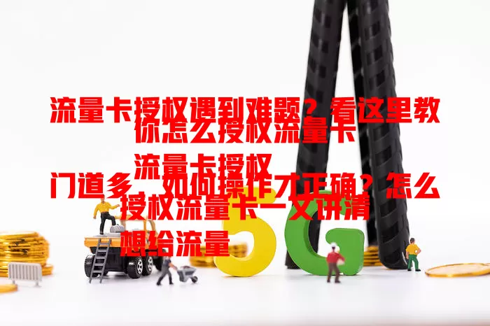 流量卡授权遇到难题？看这里教你怎么授权流量卡
流量卡授权门道多，如何操作才正确？怎么授权流量卡一文讲清
想给流量卡授权却不知咋做？掌握方法，轻松搞定怎么授权流量卡