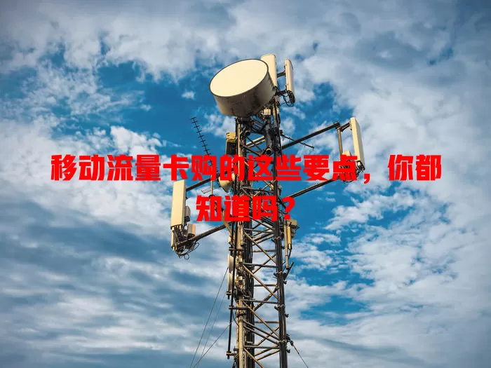 移动流量卡购的这些要点，你都知道吗？