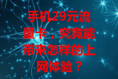 手机29元流量卡，究竟能带来怎样的上网体验？