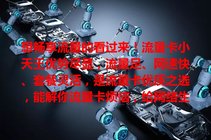 想畅享流量的看过来！流量卡小天王优势尽显，流量足、网速快、套餐灵活，是流量卡优质之选，能解你流量卡烦恼，给网络生活惊喜