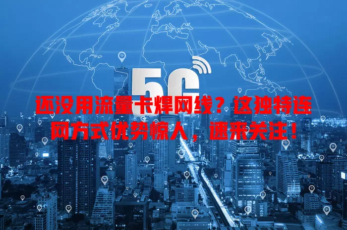 还没用流量卡焊网线？这独特连网方式优势惊人，速来关注！