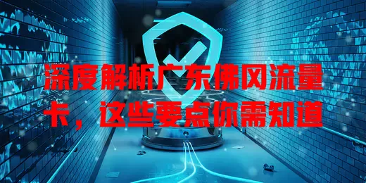 深度解析广东佛冈流量卡，这些要点你需知道