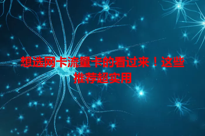 想选网卡流量卡的看过来！这些推荐超实用
