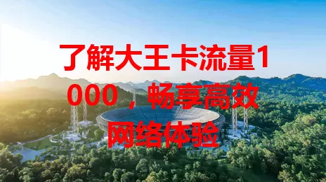 了解大王卡流量1000，畅享高效网络体验