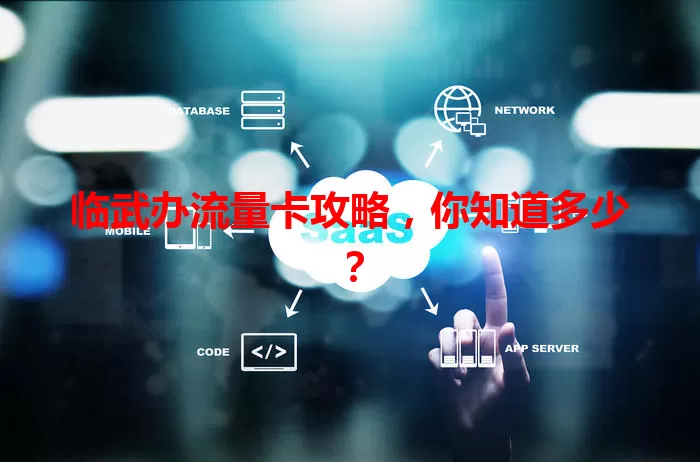 临武办流量卡攻略，你知道多少？