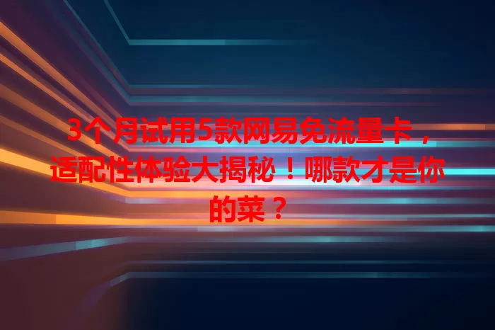 3个月试用5款网易免流量卡，适配性体验大揭秘！哪款才是你的菜？