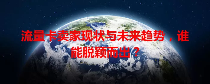 流量卡卖家现状与未来趋势，谁能脱颖而出？