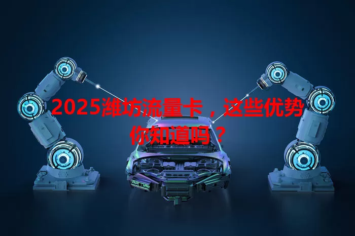 2025潍坊流量卡，这些优势你知道吗？