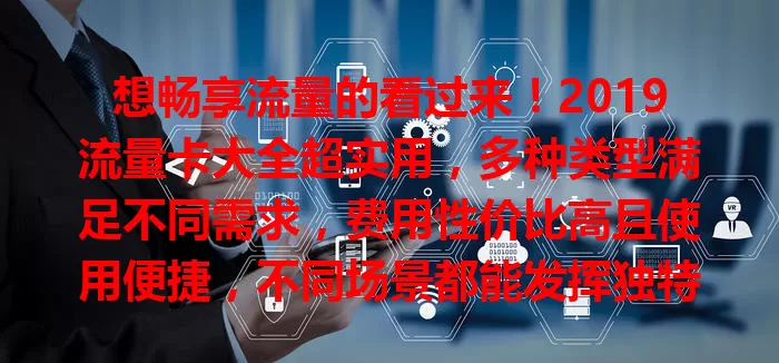 想畅享流量的看过来！2019流量卡大全超实用，多种类型满足不同需求，费用性价比高且使用便捷，不同场景都能发挥独特作用，助你自由穿梭网络世界