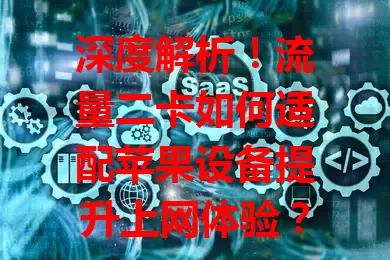 深度解析！流量二卡如何适配苹果设备提升上网体验？