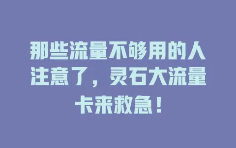 那些流量不够用的人注意了，灵石大流量卡来救急！